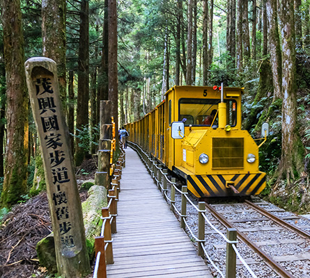 宜蘭旅遊│太平山蹦蹦車．森林小火車．原始林步道一日
