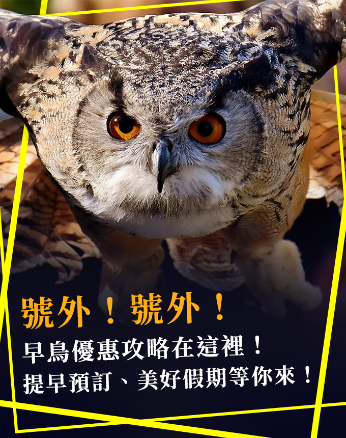 早鳥優惠專案
