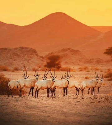美麗重生後的亞洲最美沙灘．長灘島