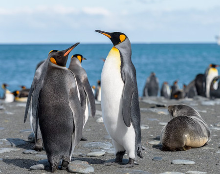行程名稱行程名稱行程名稱行程名稱行程名稱行程名稱行程名稱行程名稱行程名稱行程