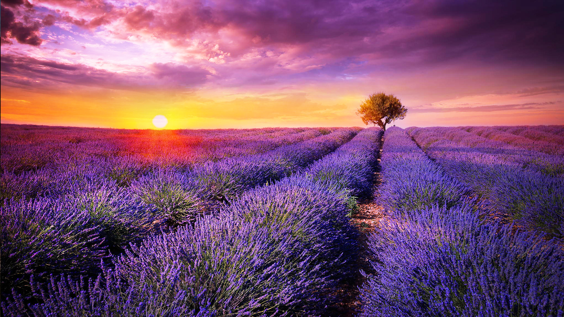 廣告輪播標題文字